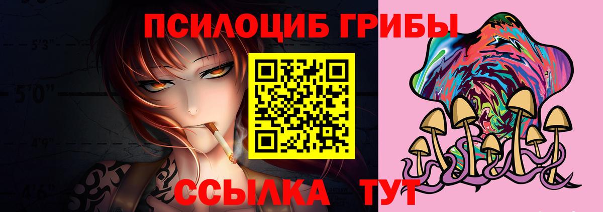 Псилоцибиновые грибы прущие грибы Саров