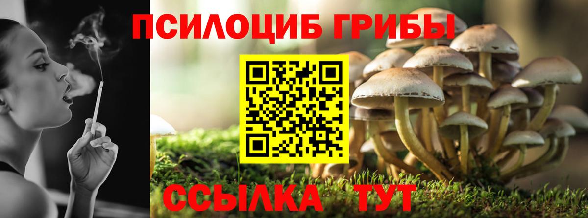 Галлюциногенные грибы Psilocybine cubensis  купить  сайты  Саров  Вход с VPN 