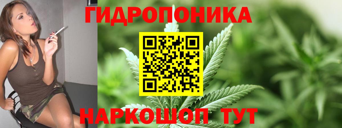 Конопля индика  Вход с VPN  Бошки марихуана VHQ  Саров  Шишки марихуана конопля  Марихуана Amnesia 